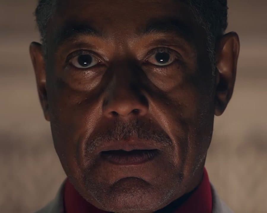 Gus Fring death stare