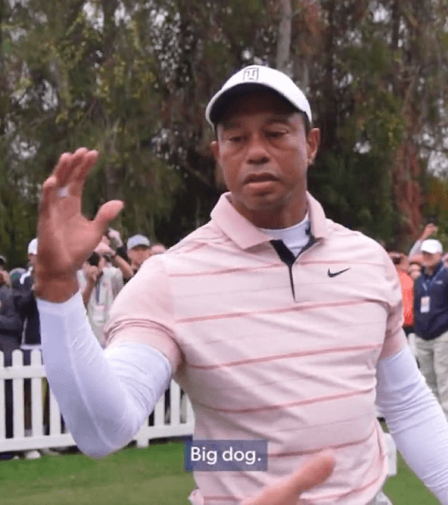 Tiger Woods big dog