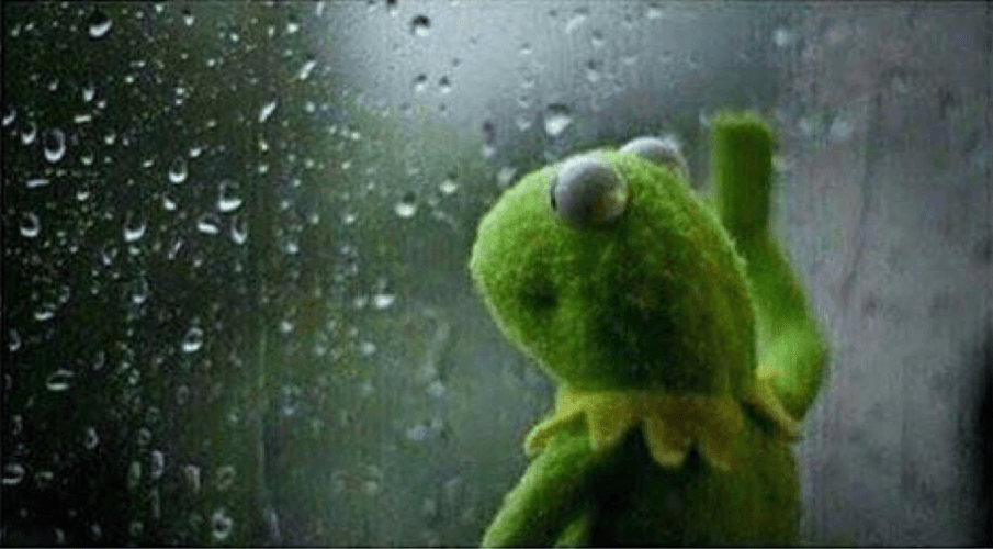 Sad Kermit in the rain