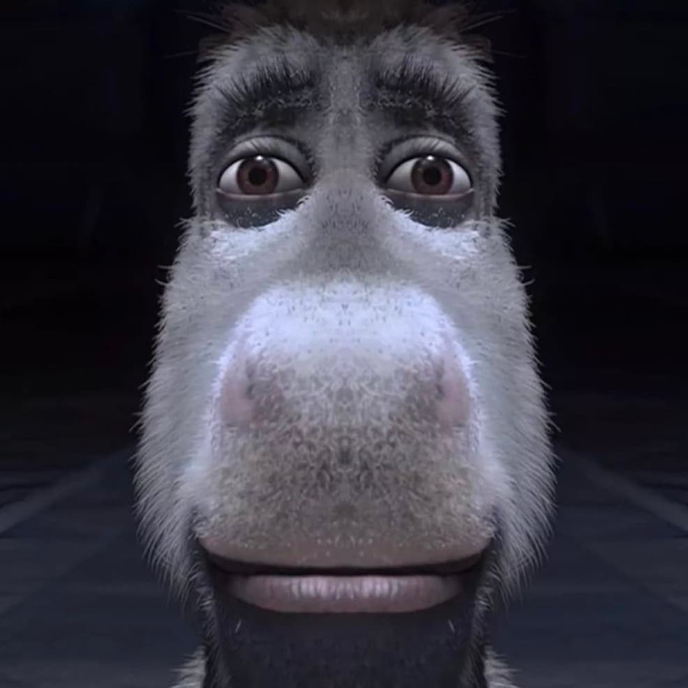 Donkey Shrek (Cooked)