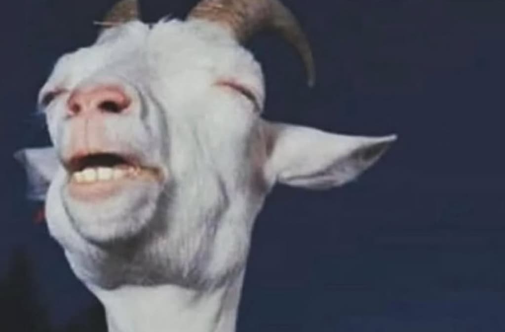 Relieved Goat