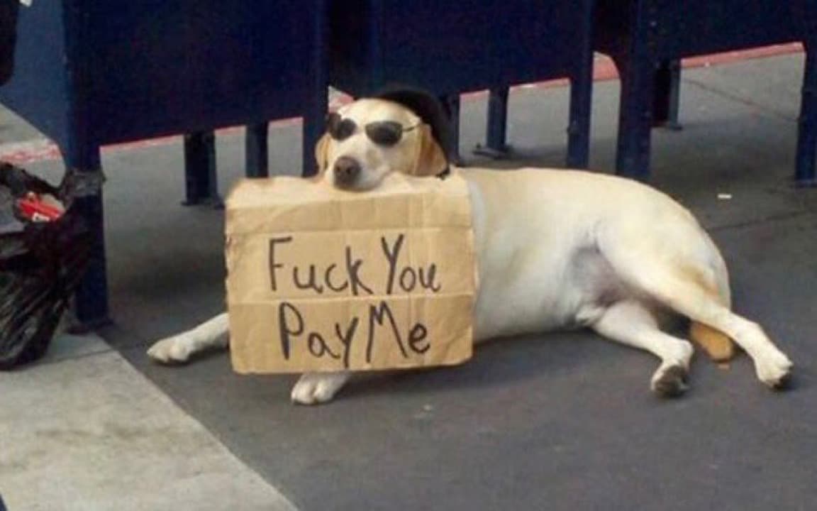 Fuck you, pay me