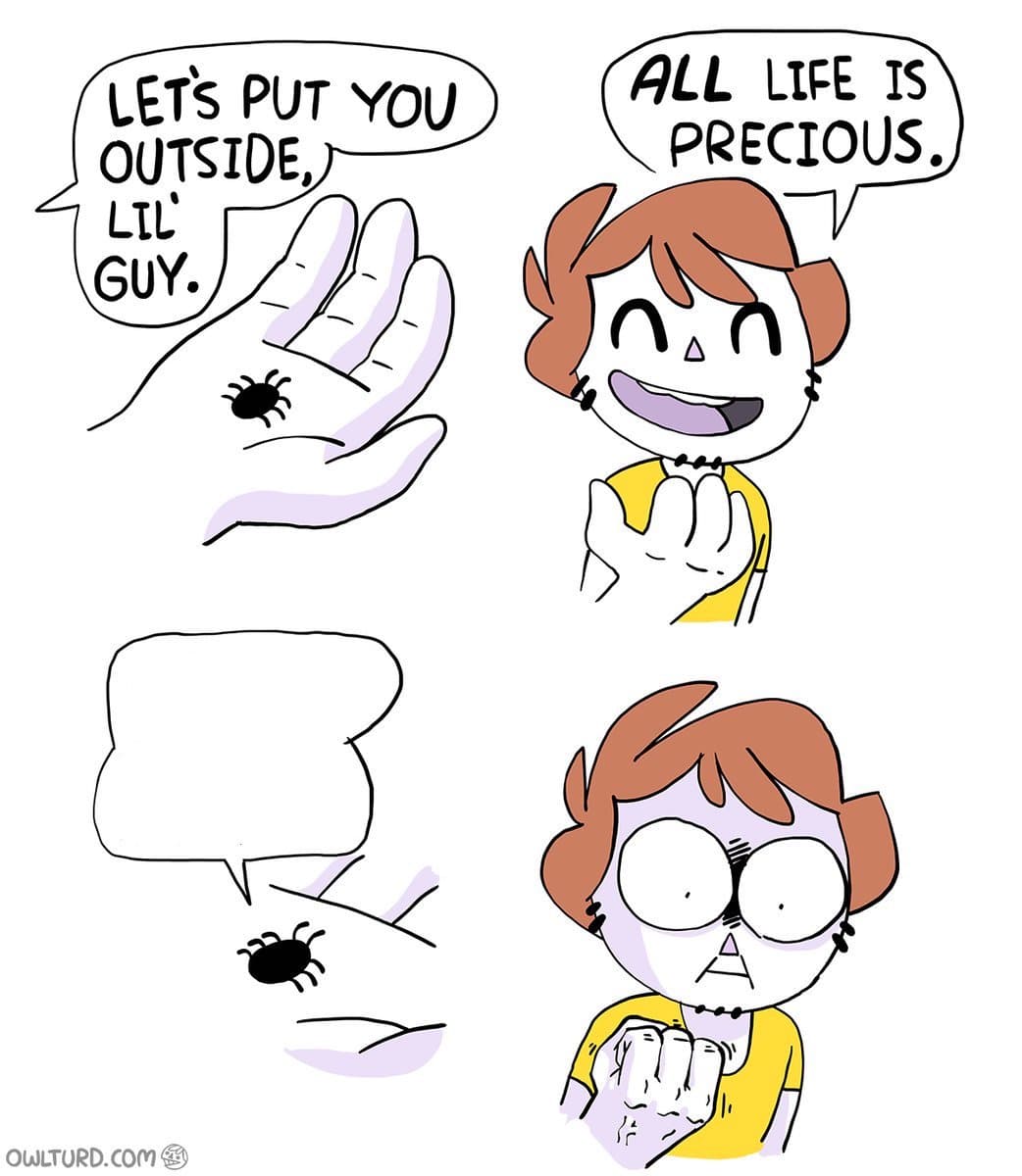 All life is precious spider