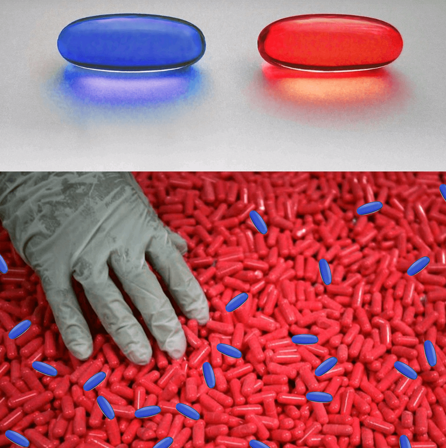 Red pill blue pill