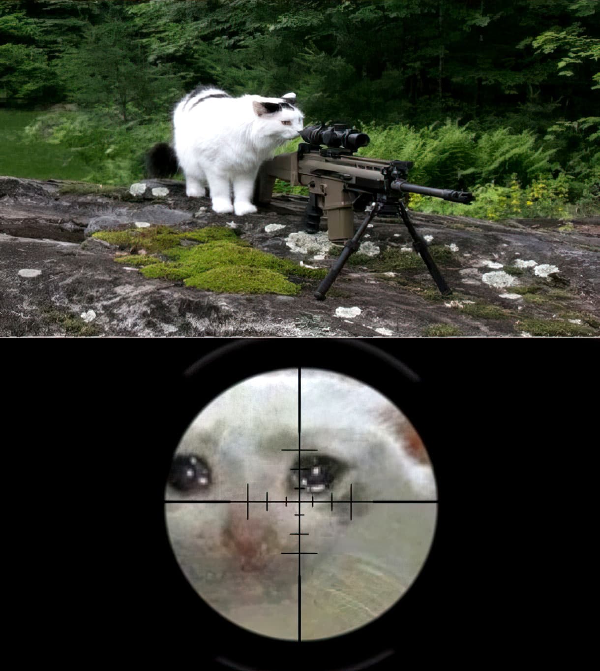 Cat sniper scope