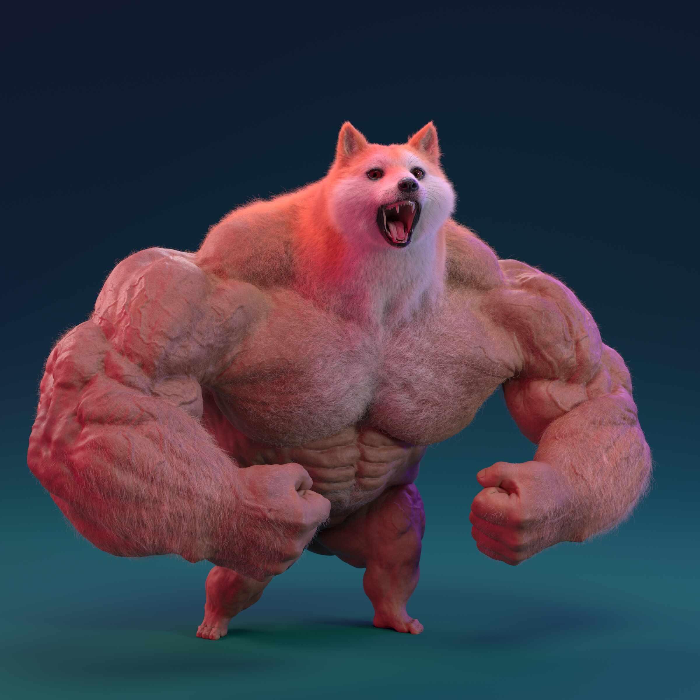 Buff doge