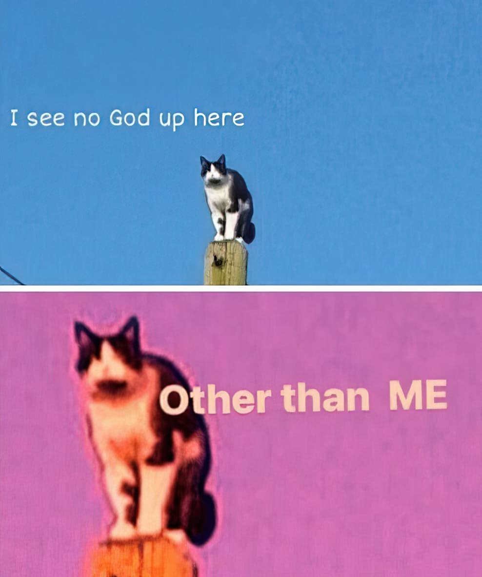 I see no god up here