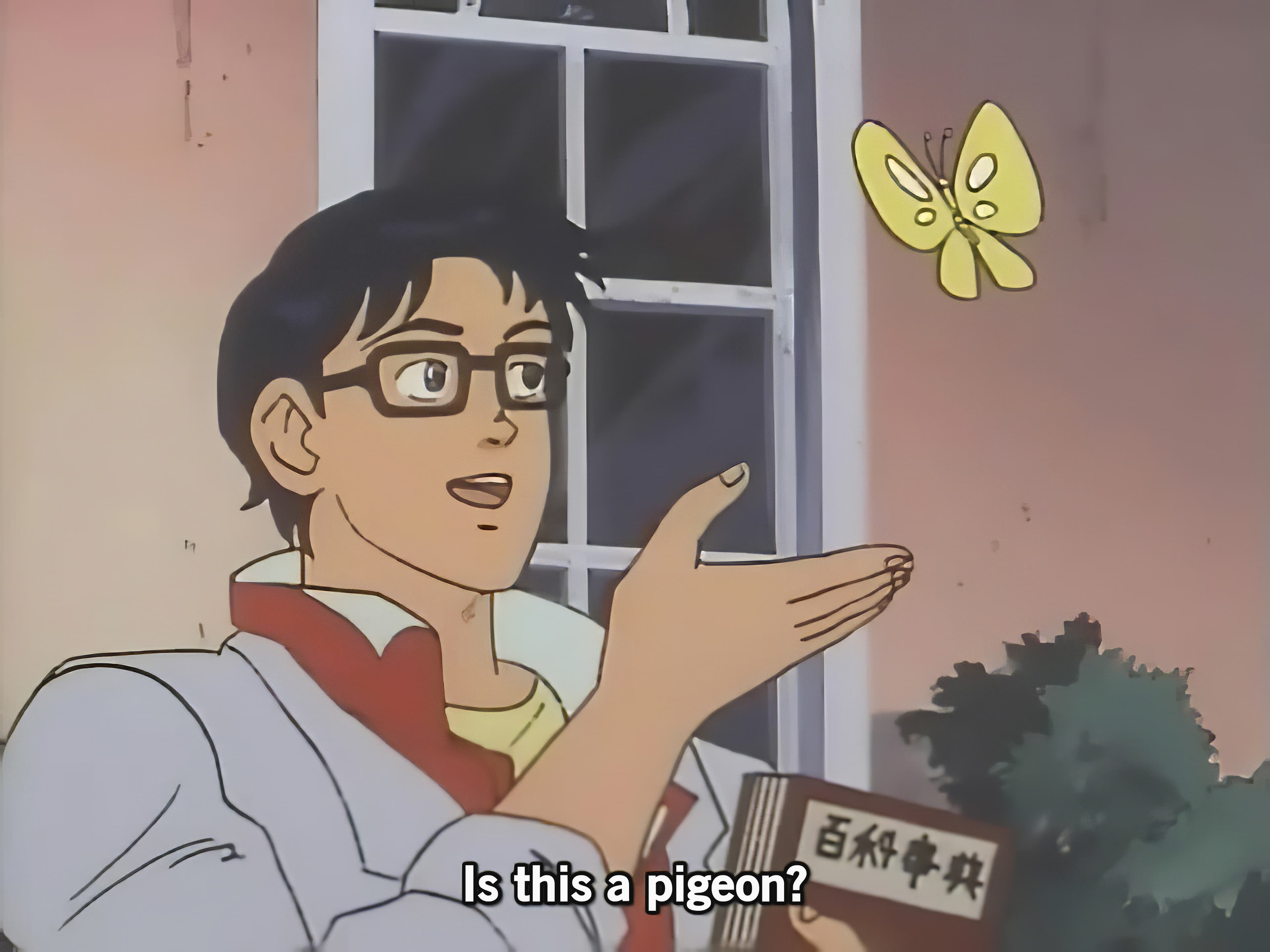 Is this a pigeon