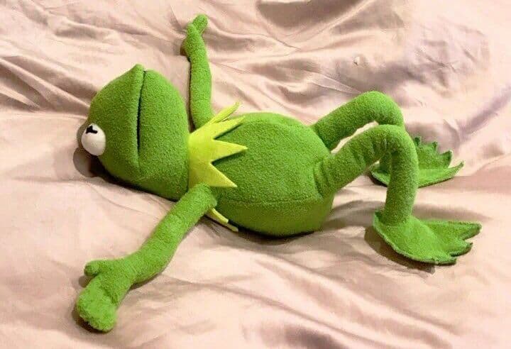 Kermit lying down