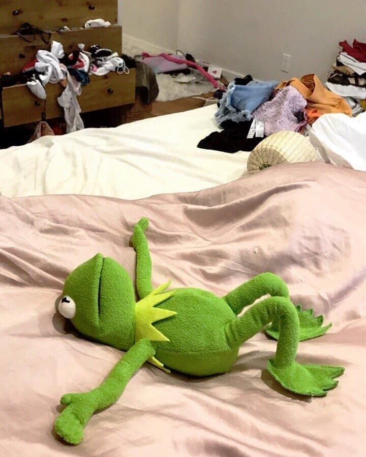 Kermit lying on bed