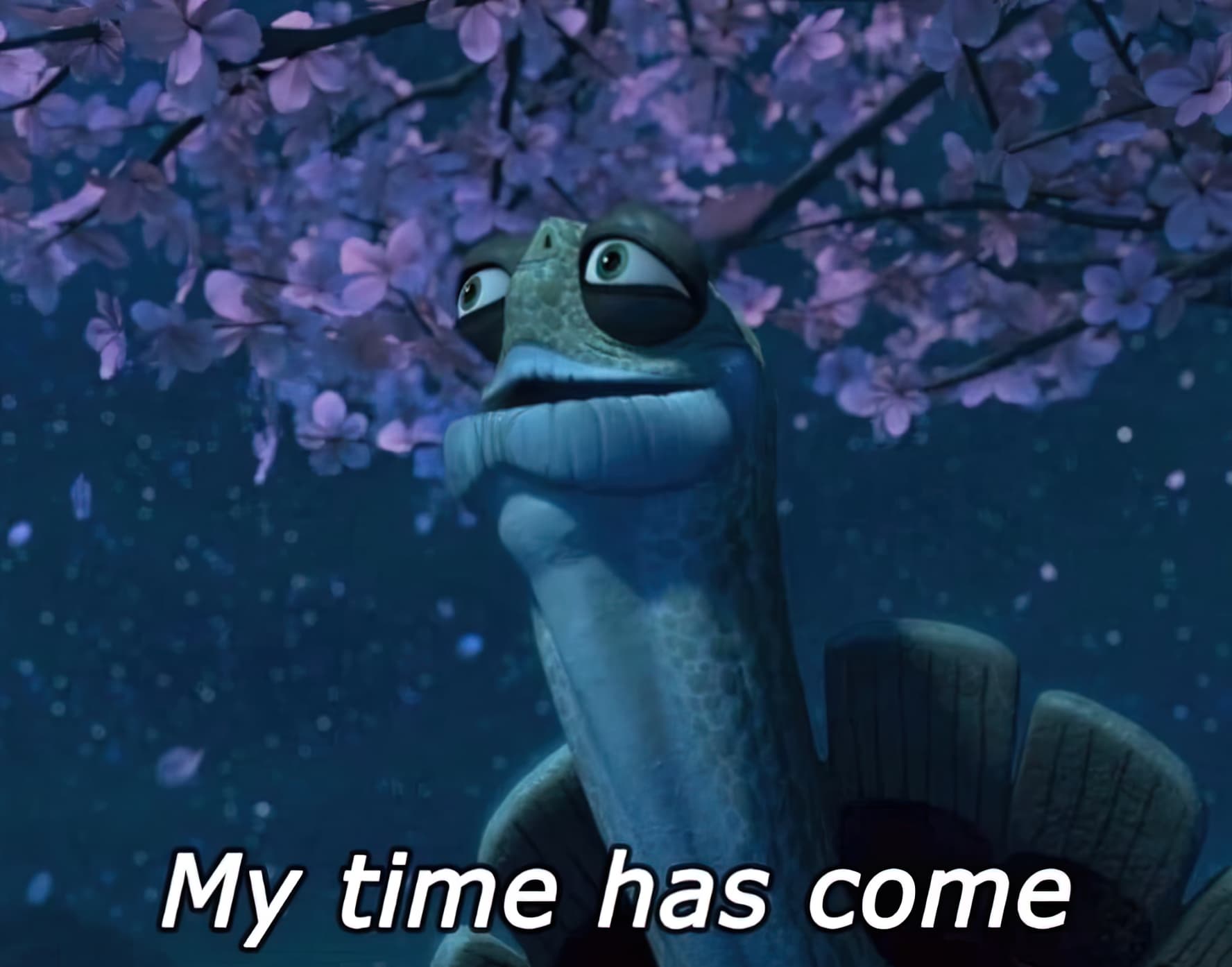 Master Oogway my time has come