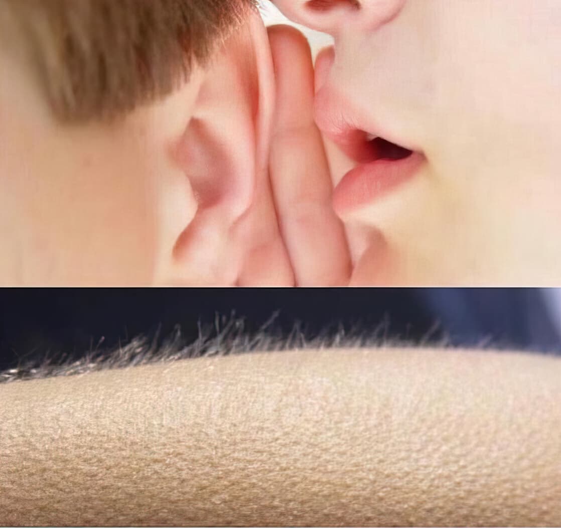 Whispering vs goosebumps