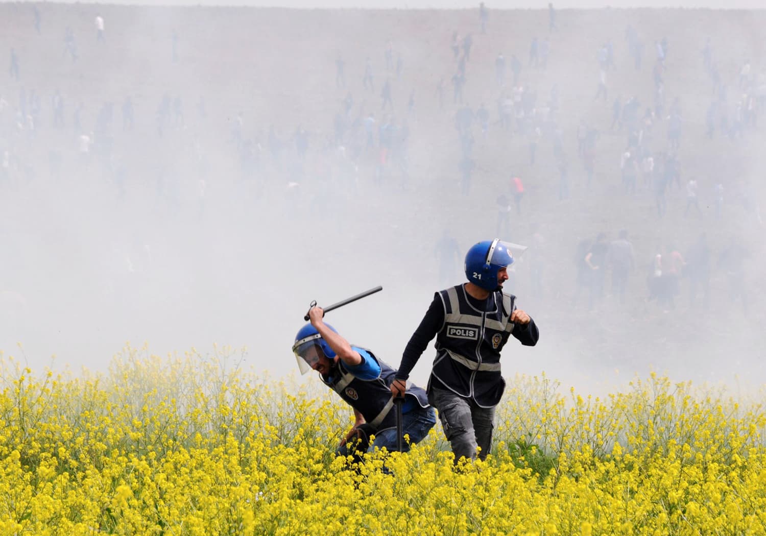 Police beating flowers