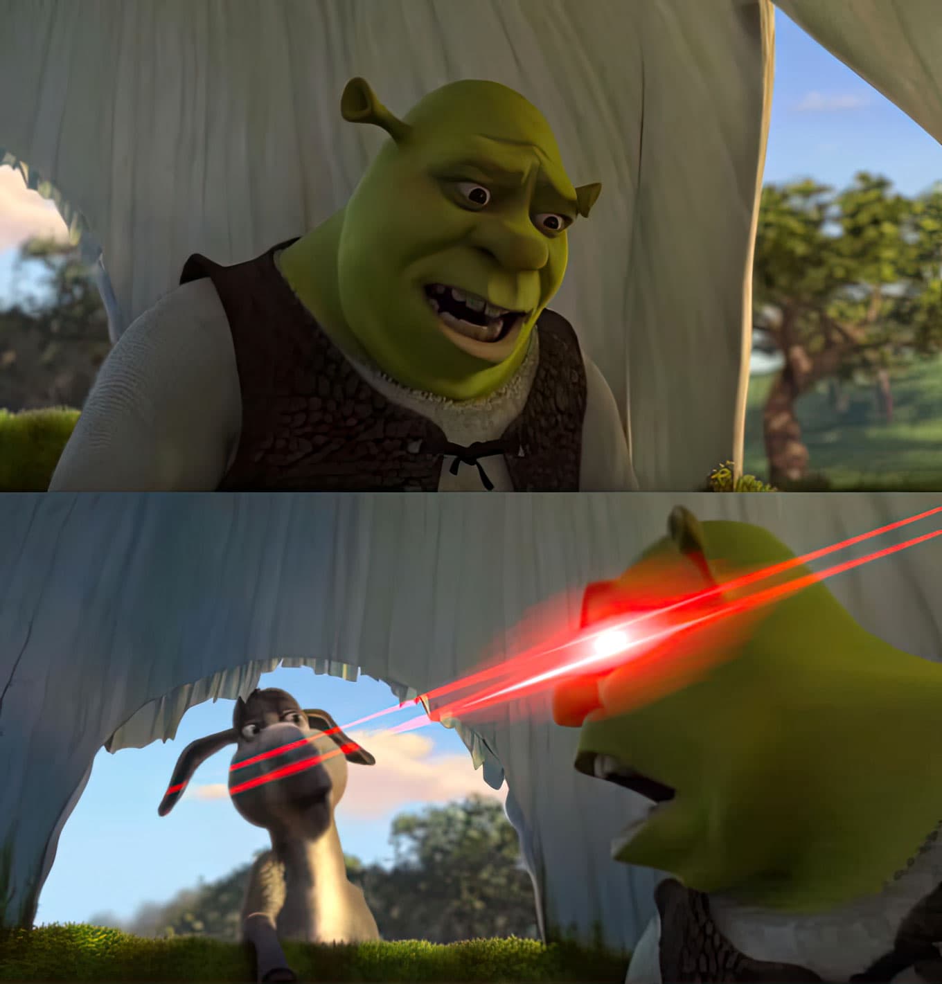 Shrek laser eyes