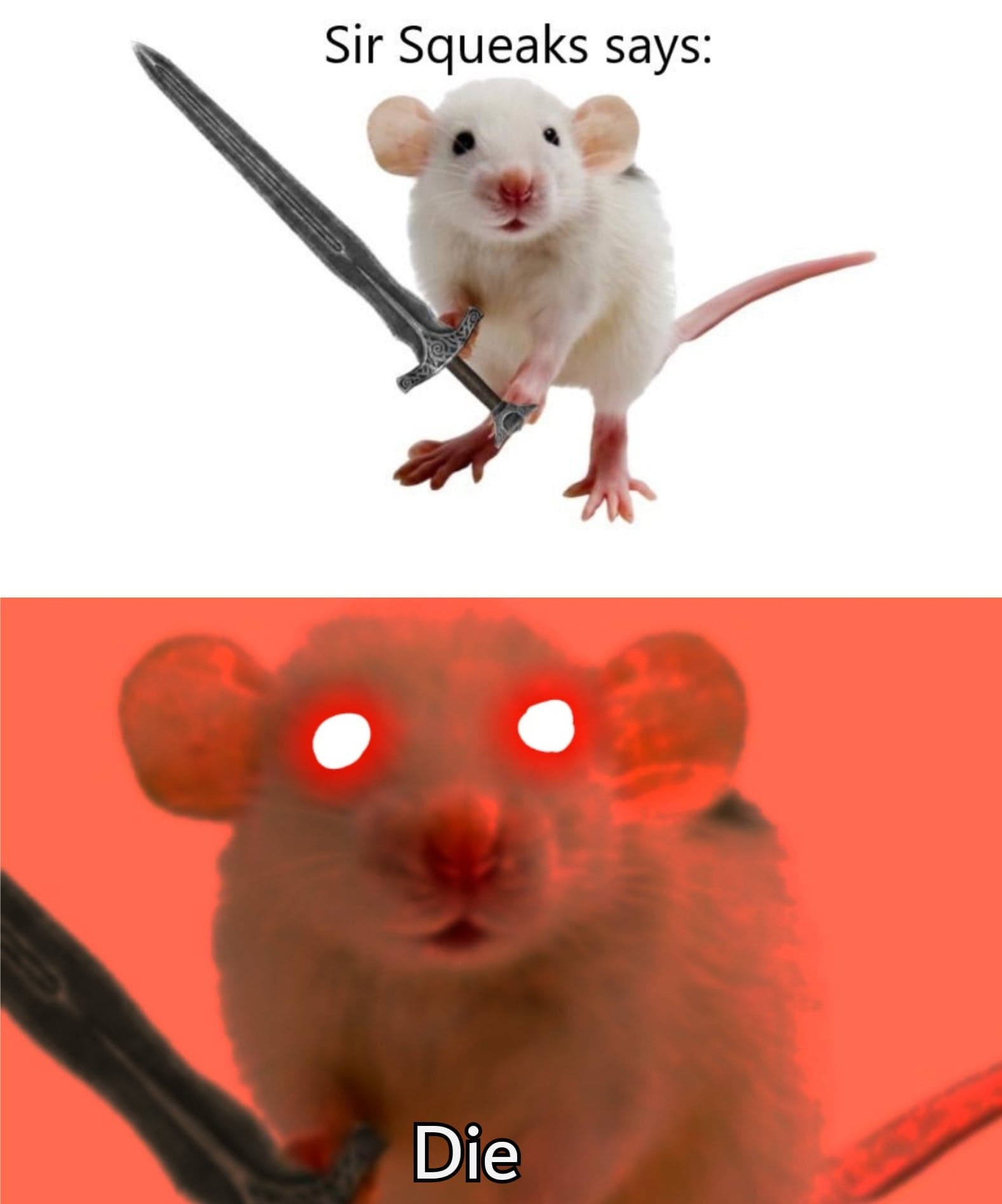 Sir Squeaks sword rat