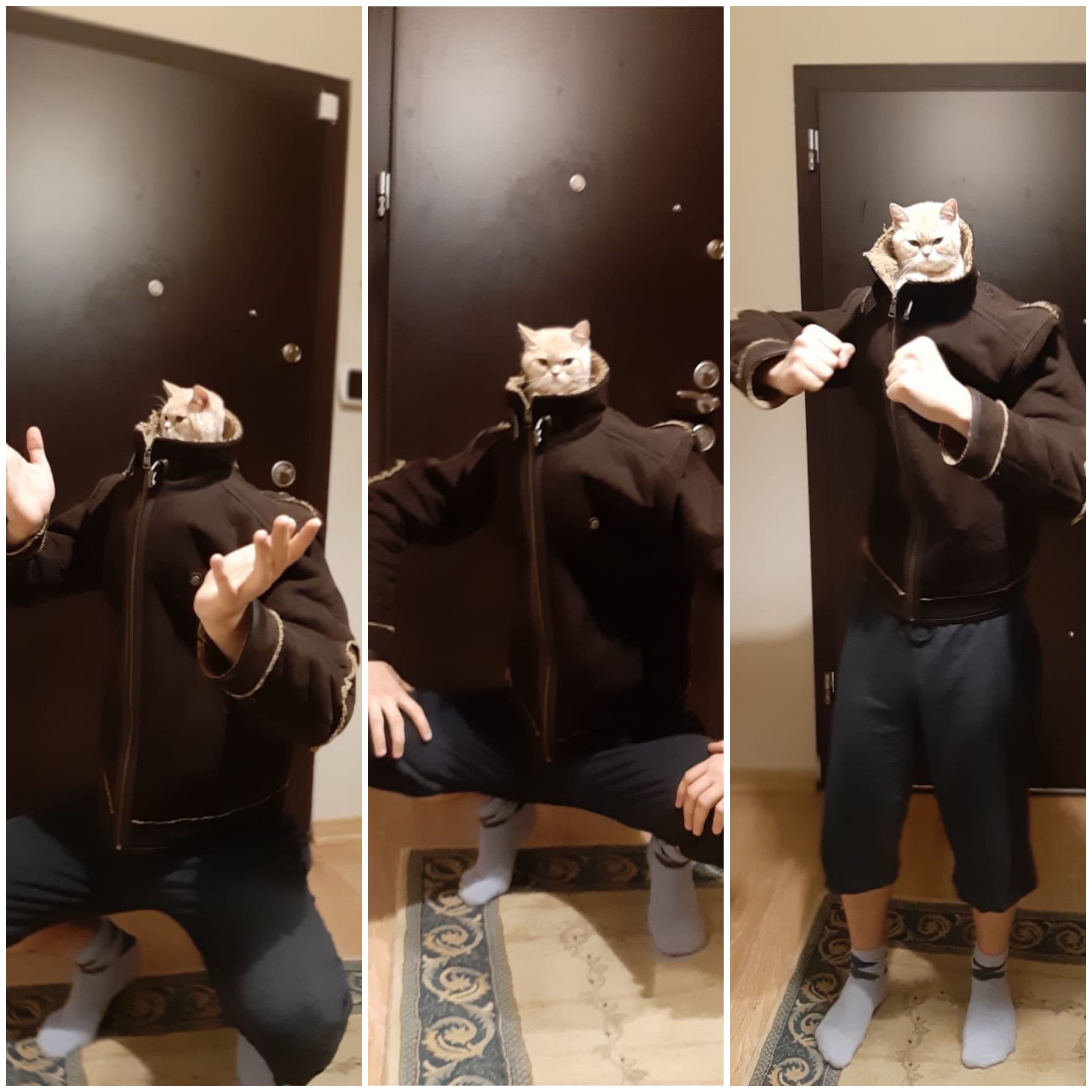 Cat head tracksuit squatting