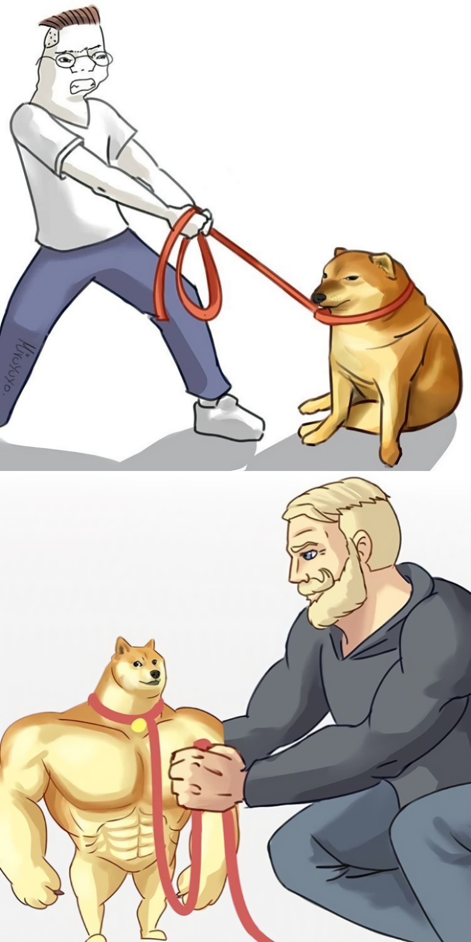 Weak vs strong doge