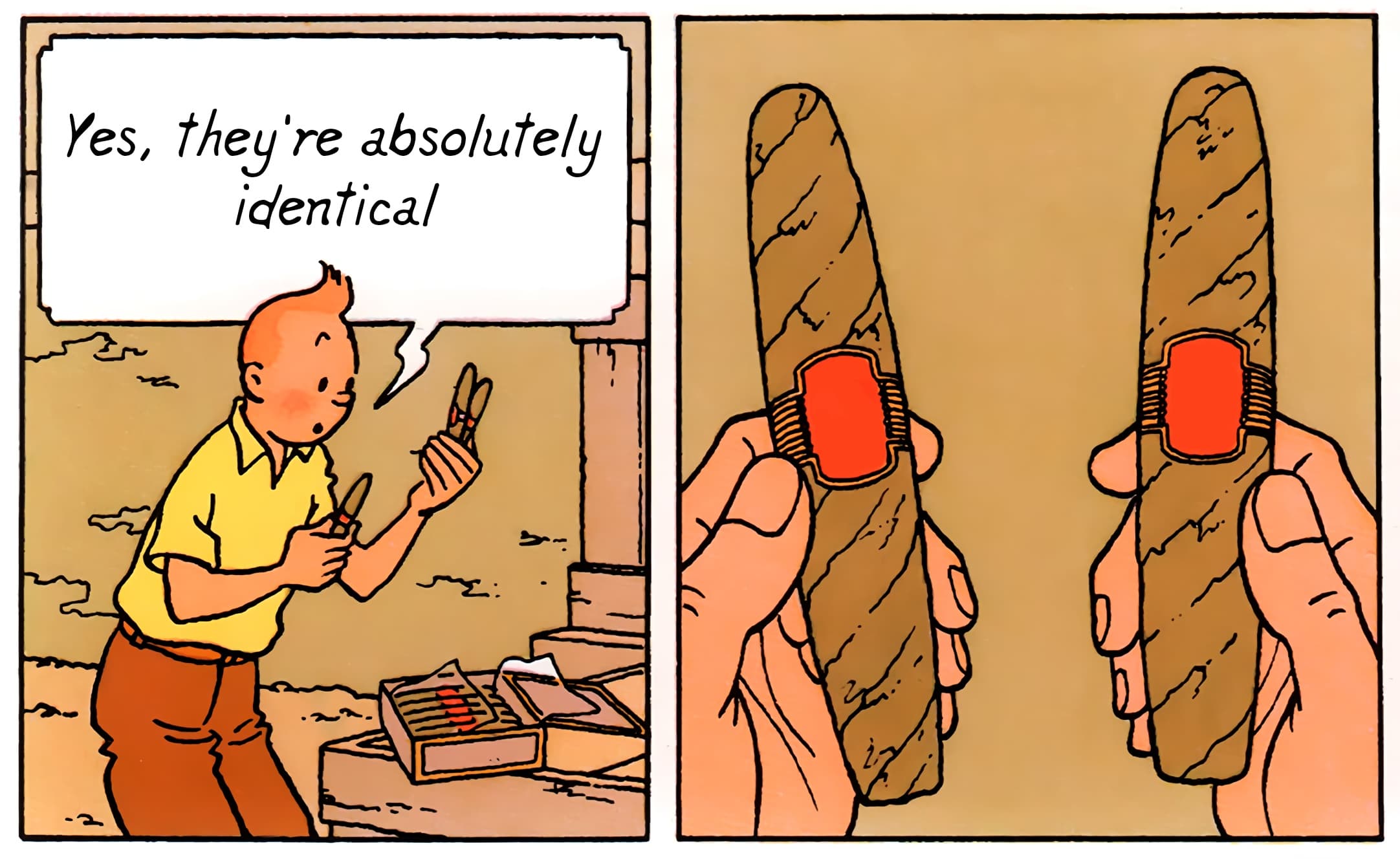 Tintin absolutely identical