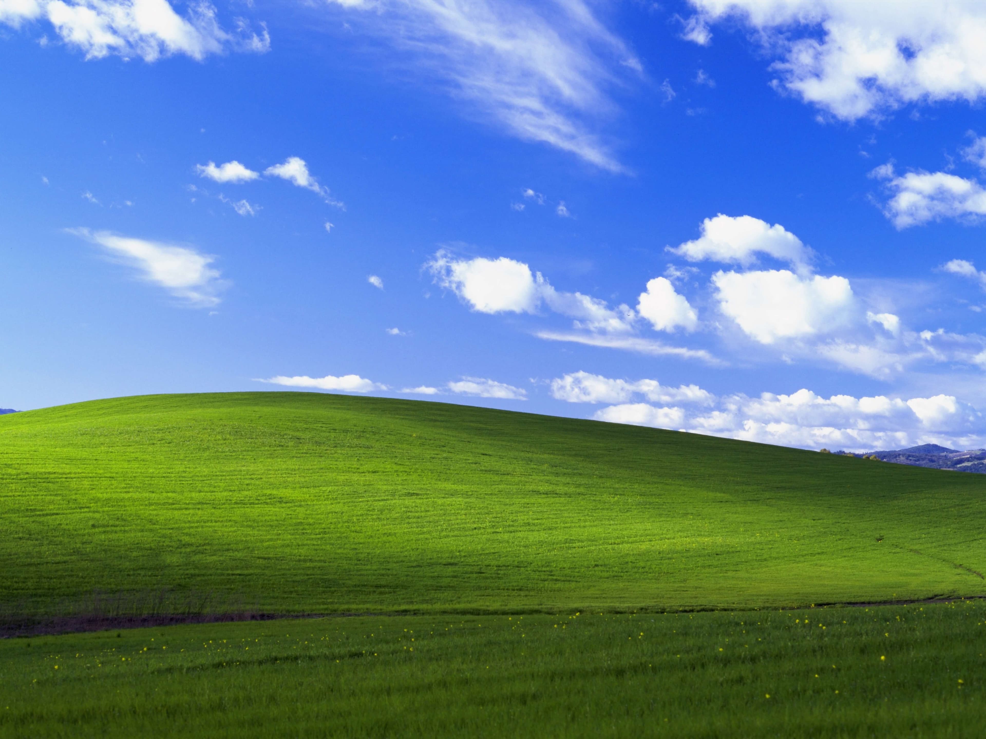 Windows XP wallpaper