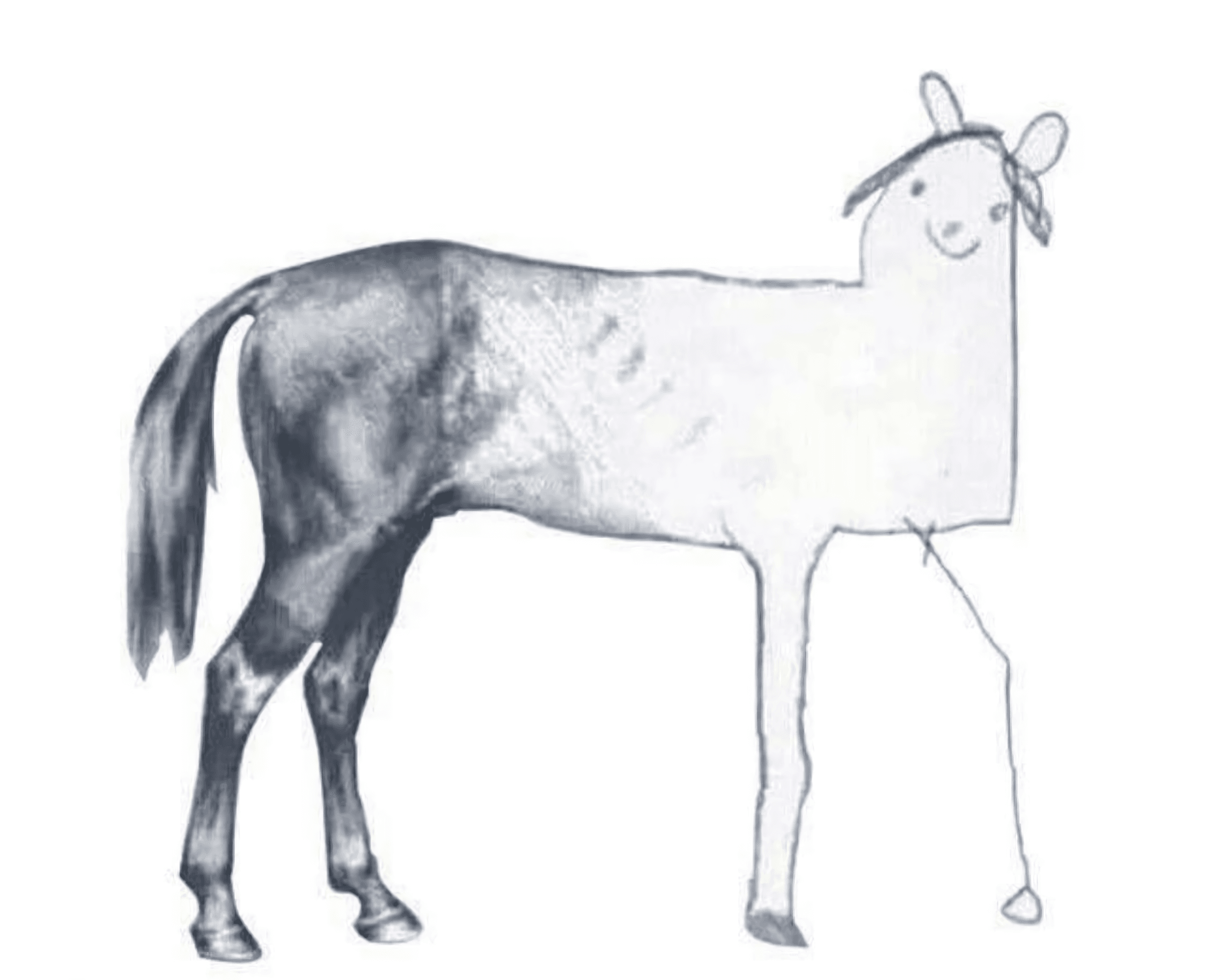 Half drawn horse