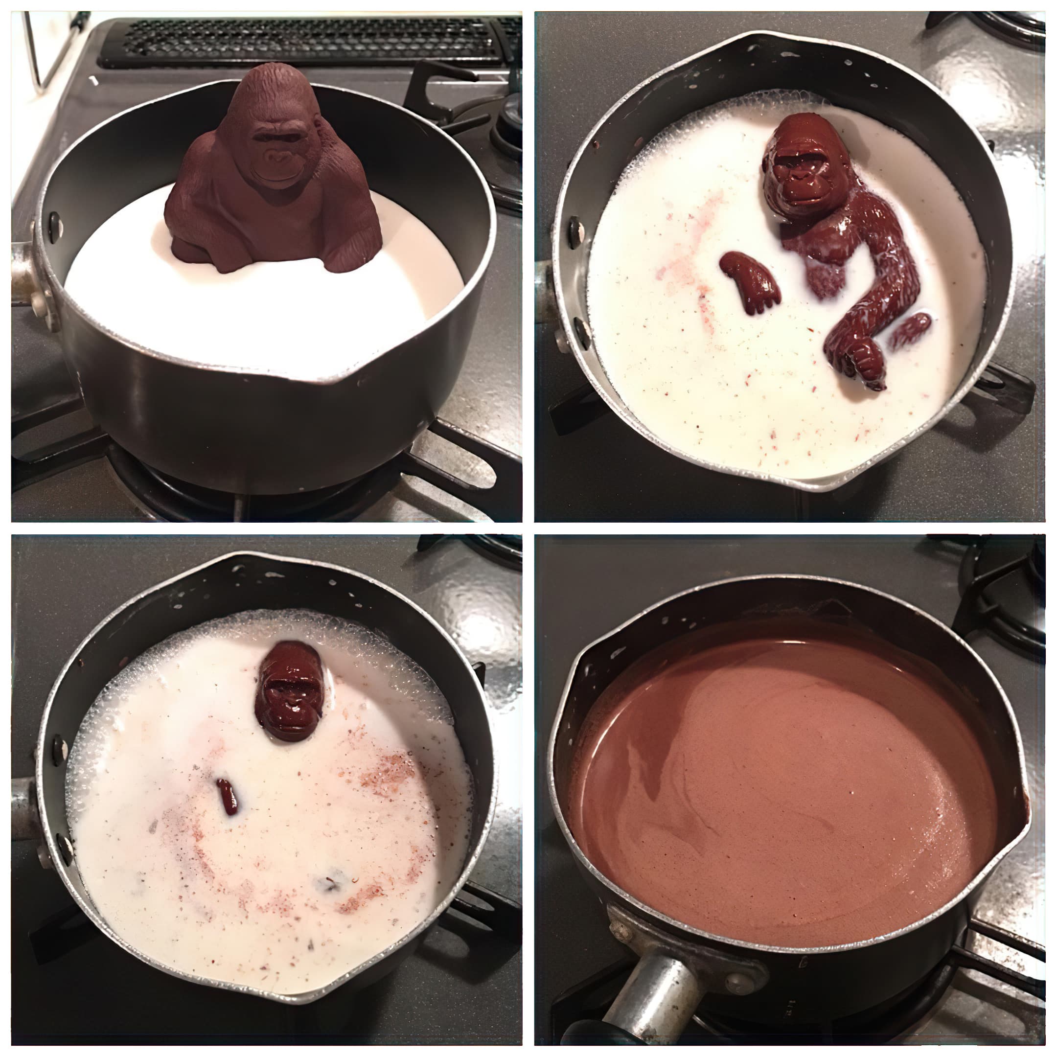Chocolate gorilla melting milk