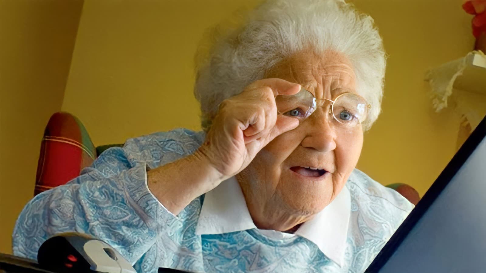 Grandma using computer